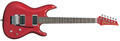 Voir la fiche IBANEZ JS1200CA