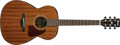 Voir la fiche IBANEZ AC240-OPN 