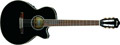 Voir la fiche IBANEZ AEG10NE-BK 