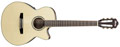 Voir la fiche IBANEZ AEG10NE-NT 