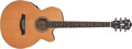 Voir la fiche IBANEZ AEG15E-LG 