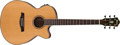 Voir la fiche IBANEZ AEG15II-LG 