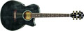 Voir la fiche IBANEZ AEG20E-TG 