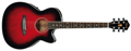 Voir la fiche IBANEZ AEG8E-TRS 