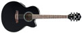 Voir la fiche IBANEZ AEL10E-BK 
