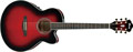 Voir la fiche IBANEZ AEL20E-TRS 