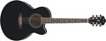 Voir la fiche IBANEZ AEL8E-BK 