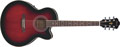 Voir la fiche IBANEZ AEL8E-TRS 