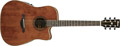 Voir la fiche IBANEZ AW250ECE-RTB 