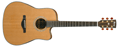 Voir la fiche IBANEZ AW3050CE-LG
