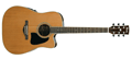 Voir la fiche IBANEZ AW370ECE-NT 