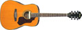 Voir la fiche IBANEZ SGE120-ATN 