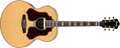 Voir la fiche IBANEZ SGE530-NT 