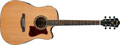 Voir la fiche IBANEZ V74ECE-OPN 