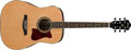 Voir la fiche IBANEZ V74E-OPN