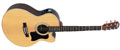 Voir la fiche STORM JC80SN/BAG