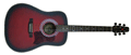 Voir la fiche JM FOREST D120REDSAT