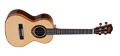 Voir la fiche LEHO UKULELE LHT-SWR 