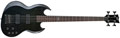 Voir la fiche LTD VIPER154DX/STBLK
