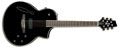 Voir la fiche IBANEZ MSC350-BK 