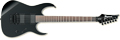 Voir la fiche IBANEZ MTM2-BK