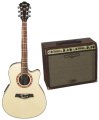 PACK IBANEZ AEF18E + BEHRINGER ACX900 IBANEZ