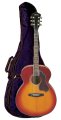 PACK IBANEZ SGT630 E HS + HOUSSE IBANEZ