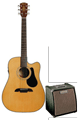 Voir la fiche ALVAREZ PACK RD16CE + CRATE CA30