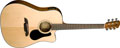 Voir la fiche ALVAREZ RD210CNAT