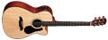 Voir la fiche ALVAREZ RF 20 SC NAT