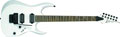 Voir la fiche IBANEZ RGD320Z-WH