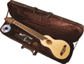 Voir la fiche WASHBURN RO10N