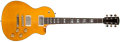 Voir la fiche LARRIVEE RS 4 Amber