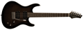 Voir la fiche WASHBURN RX10MB