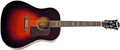 Voir la fiche BLUERIDGE BG 40
