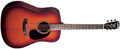Voir la fiche BLUERIDGE BR40AS