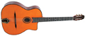 Voir la fiche GITANE DG300