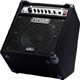 FENDER BASSMAN 100 FENDER