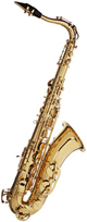 FRIEDRICH MULLER SAXO TENOR TN330 FRIEDRICH-MULLER FRIEDRICH MULLER SAXO TENOR TN330 FRIEDRICH-MULLER