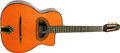 Voir la fiche GITANE D500
