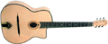 Voir la fiche GITANE DG250M