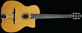 Voir la fiche GITANE DG310 (Lulo Reinhardt)