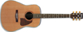 Voir la fiche IBANEZ AW 15 LG
