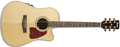 Voir la fiche IBANEZ AW40ECENT