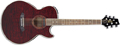 Voir la fiche IBANEZ SX 72 TBC