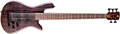 SPECTOR PERFORMER CLASSIC 5 SPECTOR