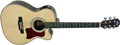 Voir la fiche STORM FC80GN/BAG