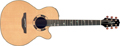 Voir la fiche TAKAMINE TSF 48 C