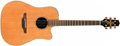 Voir la fiche TAKAMINE TAN 10 C