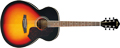 Voir la fiche IBANEZ SGT130EVS